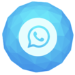 WhatsApp Support